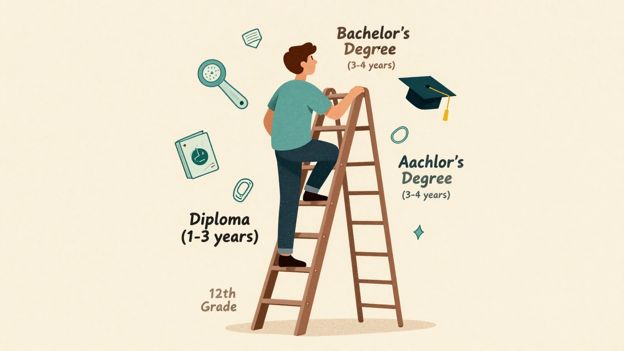 Ladder showing education levels from 12th grade to bachelor&#039;s degree with icons.